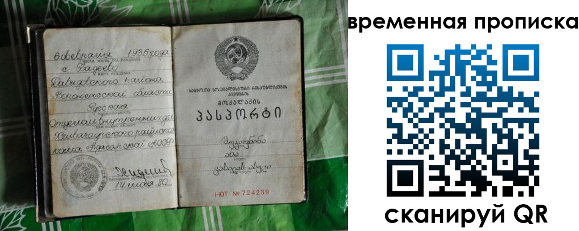 прописка в Михайловке